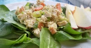 Chicken salad with spinach and apples on a plate.