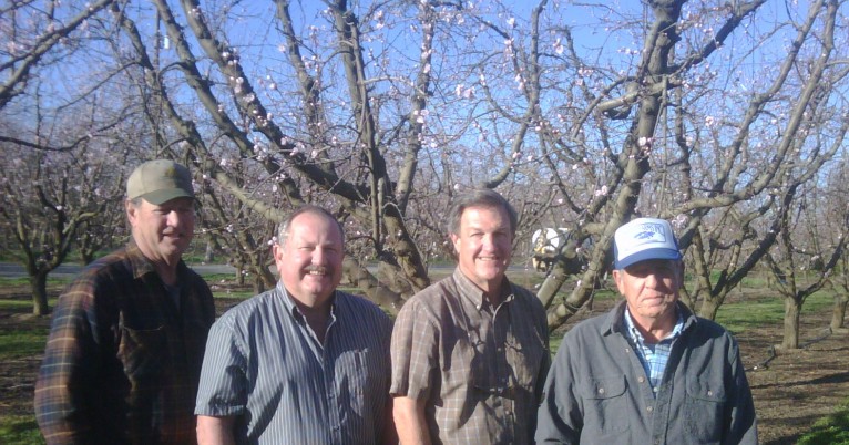Four men standing in front of a filter almond orchard.