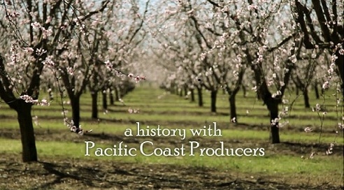 A history of Pacific Coast Producers.