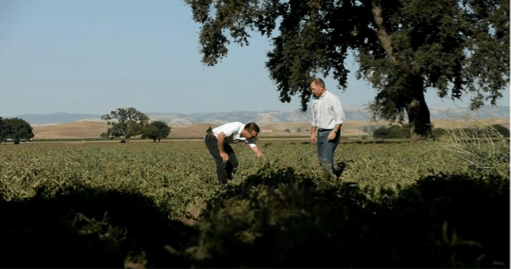 The Roots of Pacific Coast Producers: Two men in a field.