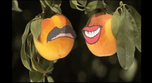 Two apricots hanging from a tree with a mustache on them, pondering the peach prophecy but unsure whether it will be canned or bagged.