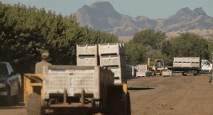 A truck is driving down a dirt road nestled in the foundations of towering mountains.