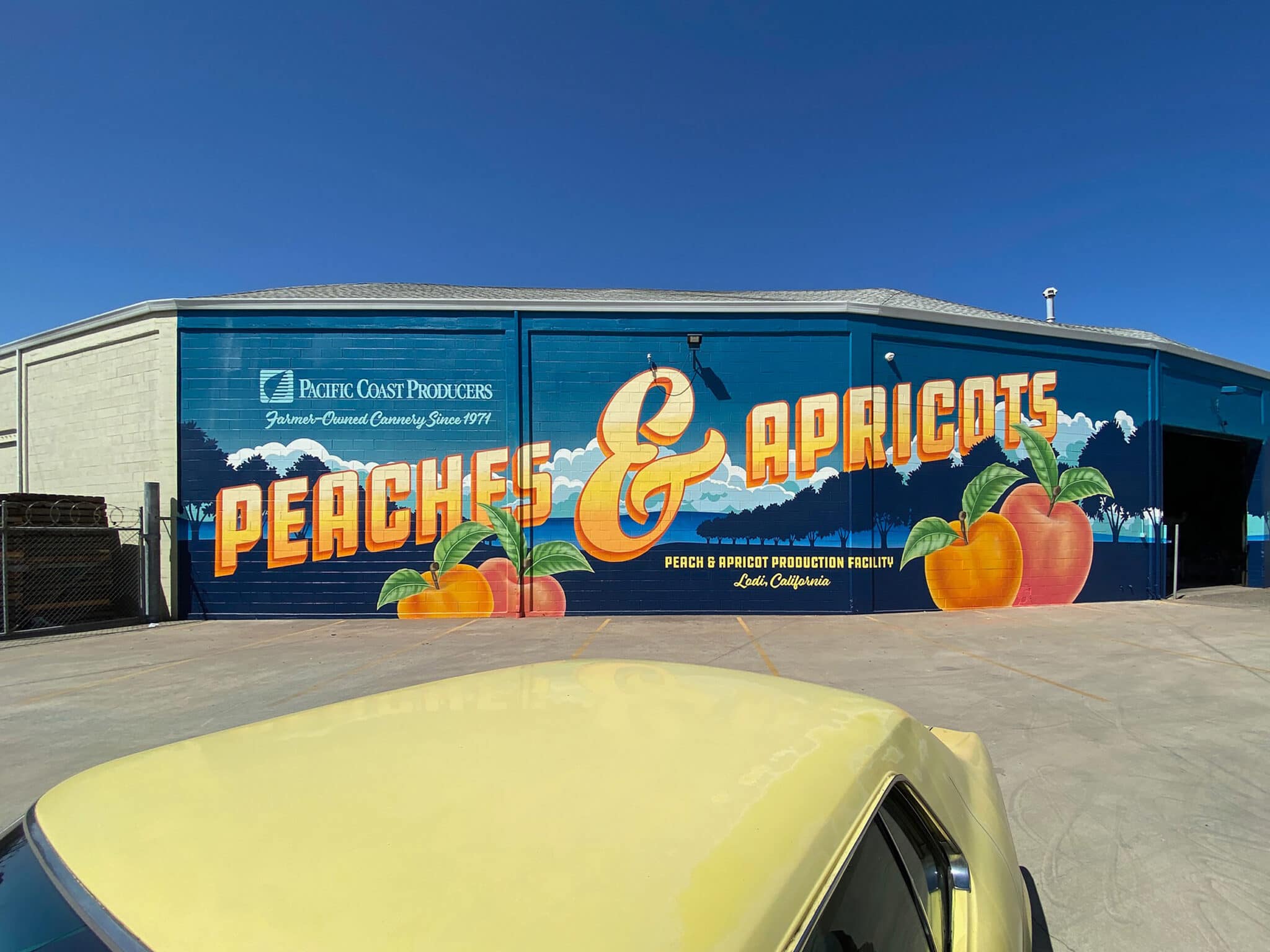 Mural depicting peaches and apricots, commissioned by Lodi plant cannery.
