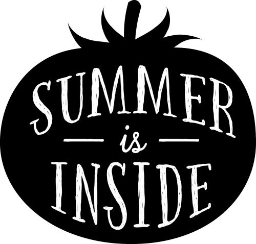 summer is inside logo black