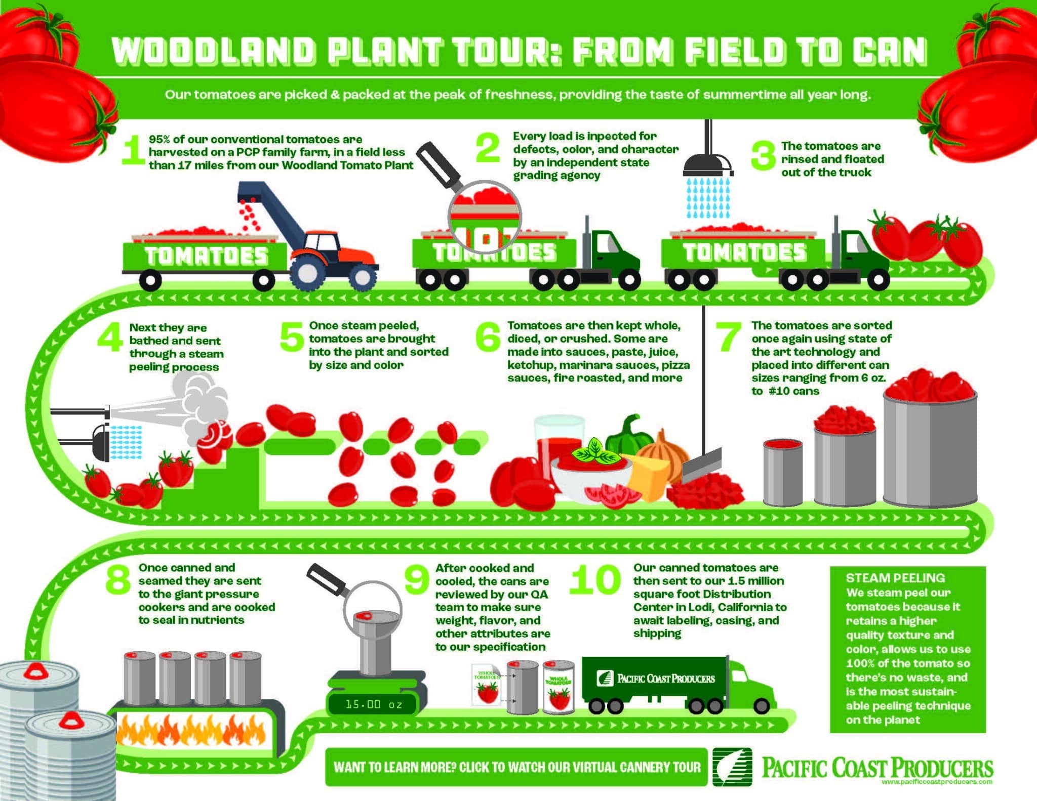 Infographic showcasing a tour of woodland plants.